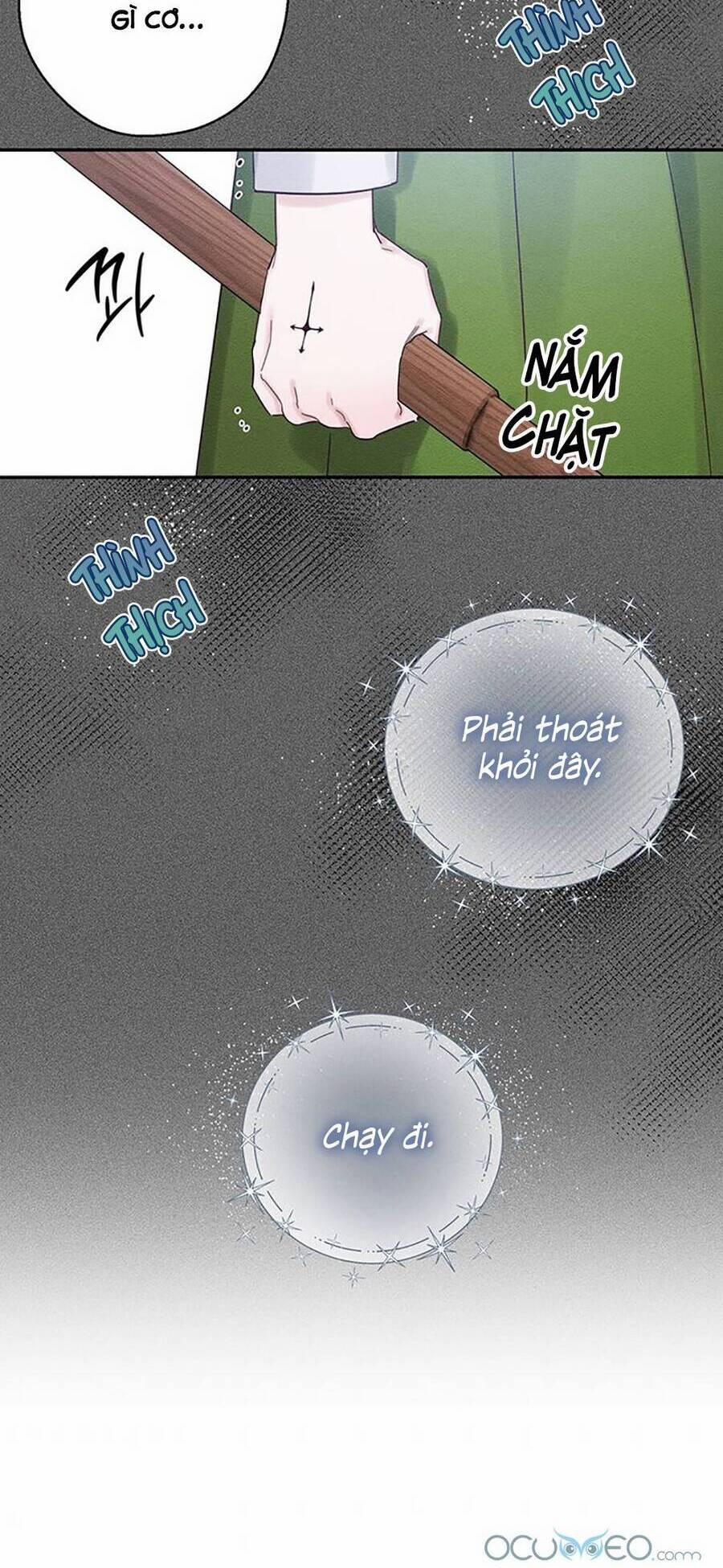 Tôi Phải Giấu Em Trai Trước Đã 38 trang 24