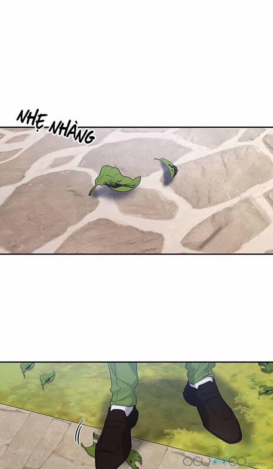 Tôi Phải Giấu Em Trai Trước Đã 38 trang 8