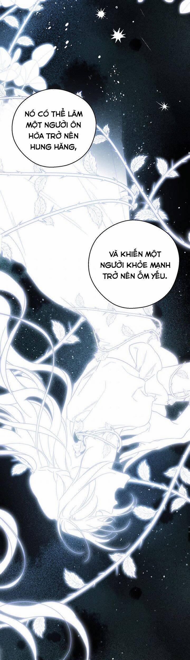 Tôi Phải Giấu Em Trai Trước Đã 39 trang 21