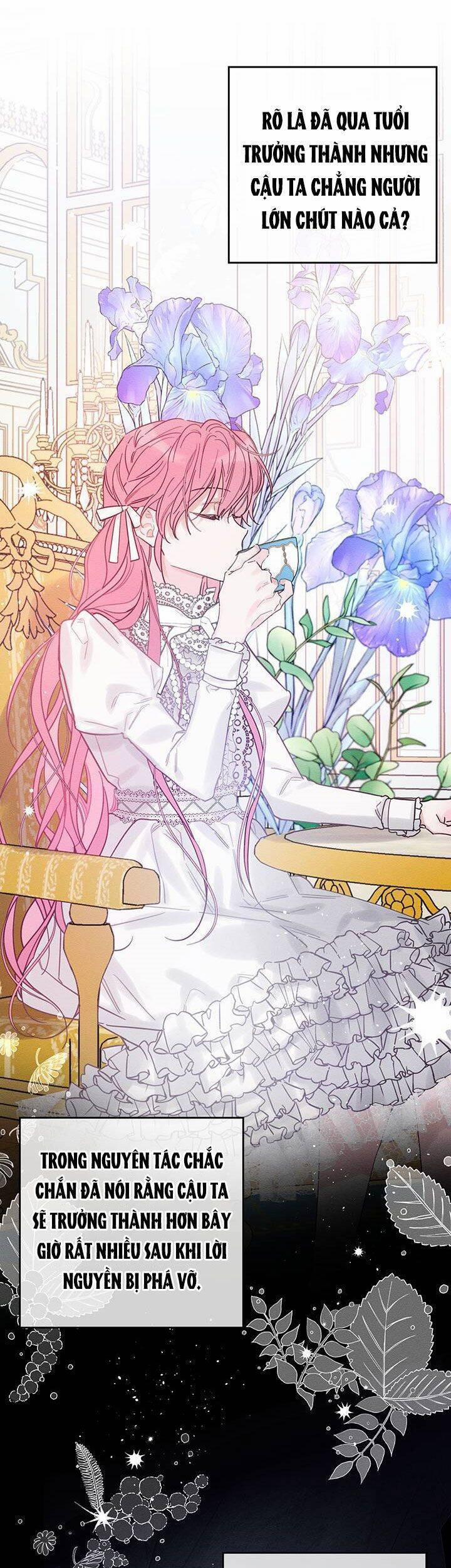 Tôi Phải Giấu Em Trai Trước Đã 40 trang 20