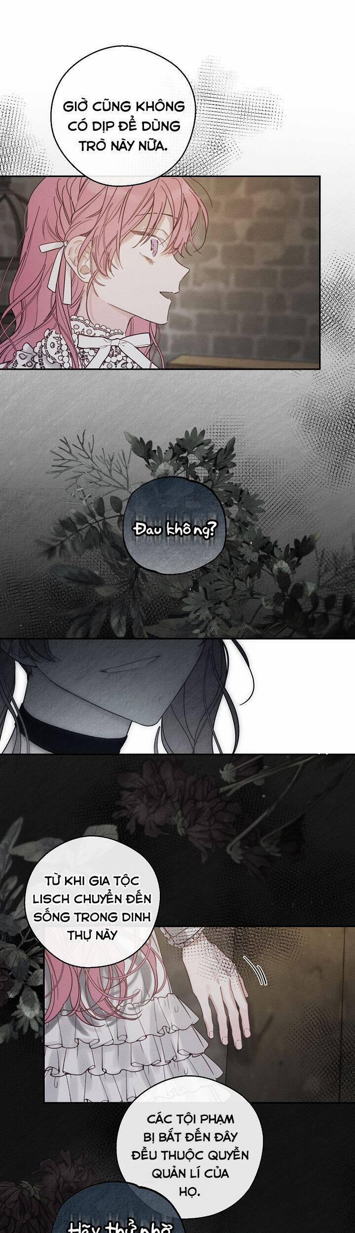 Tôi Phải Giấu Em Trai Trước Đã 42 trang 14