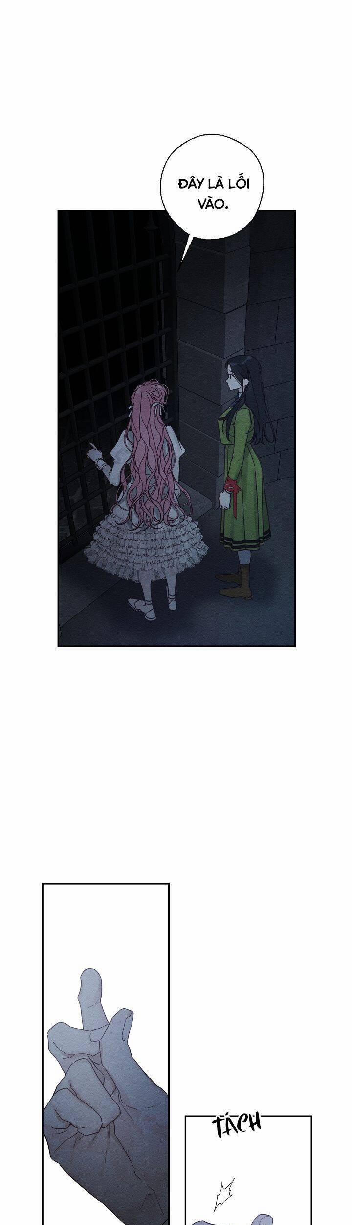 Tôi Phải Giấu Em Trai Trước Đã 42 trang 2