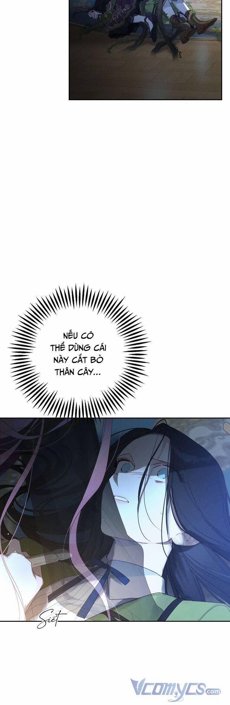 Tôi Phải Giấu Em Trai Trước Đã 60 trang 29