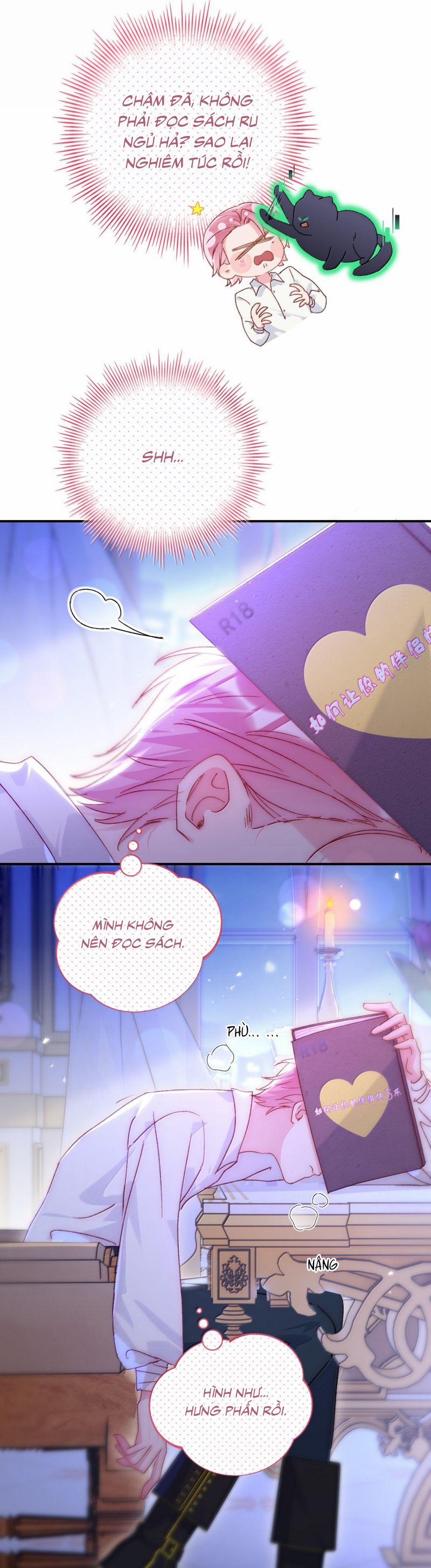 Tôi Phải Làm 1 Kẻ Đại Xấu Xa 165 trang 13