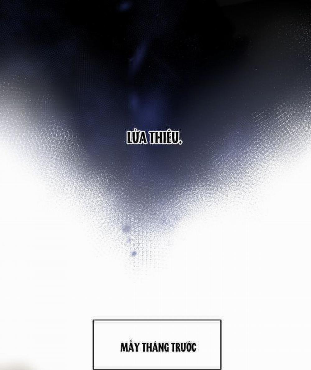 Tôi Phải Làm 1 Kẻ Đại Xấu Xa 5 trang 24