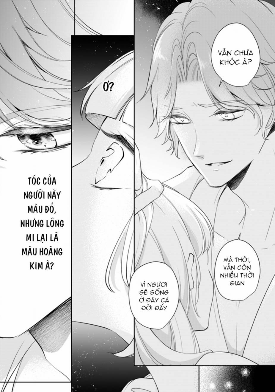 Tôi Sẽ Chết, Nếu Tôi Không Yêu 6 trang 10