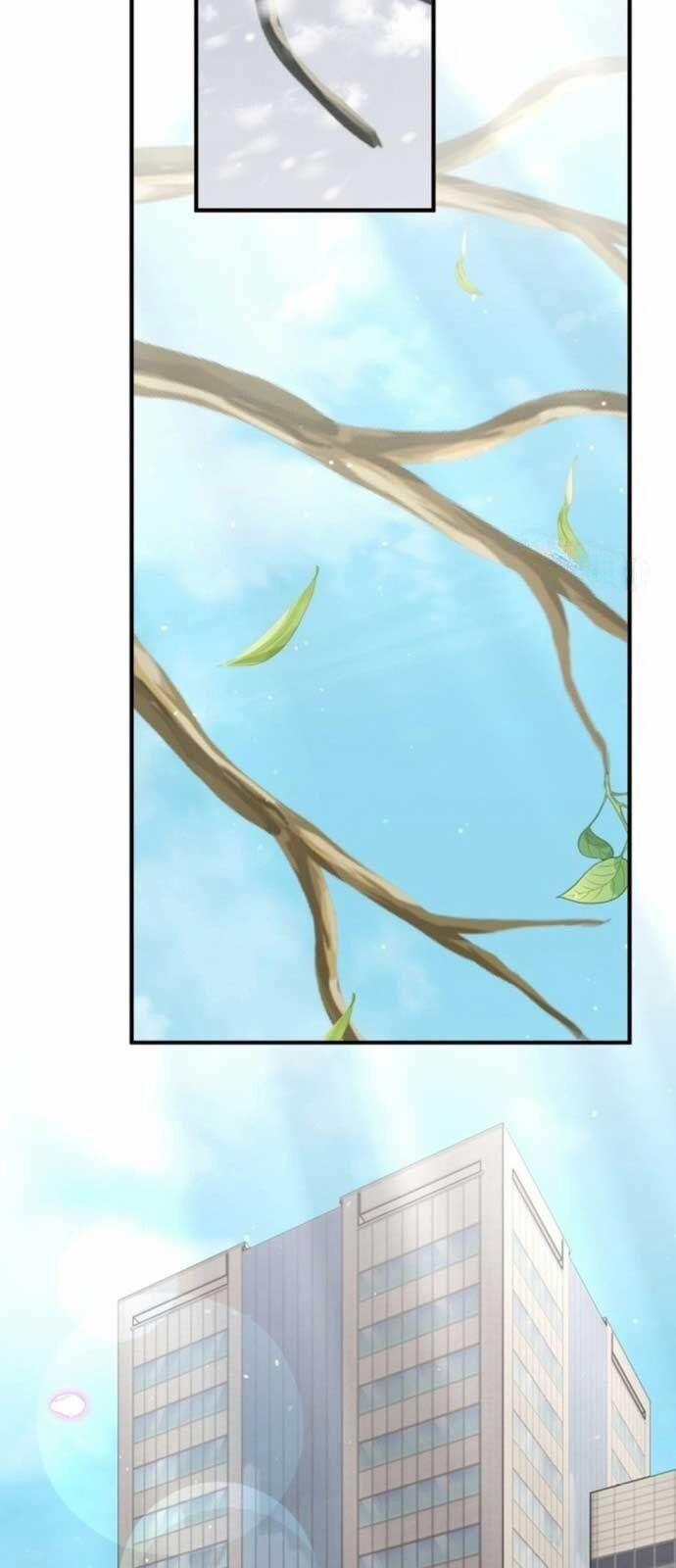 Tôi Sẽ Vực Dậy Gia Tộc Này 17 trang 78