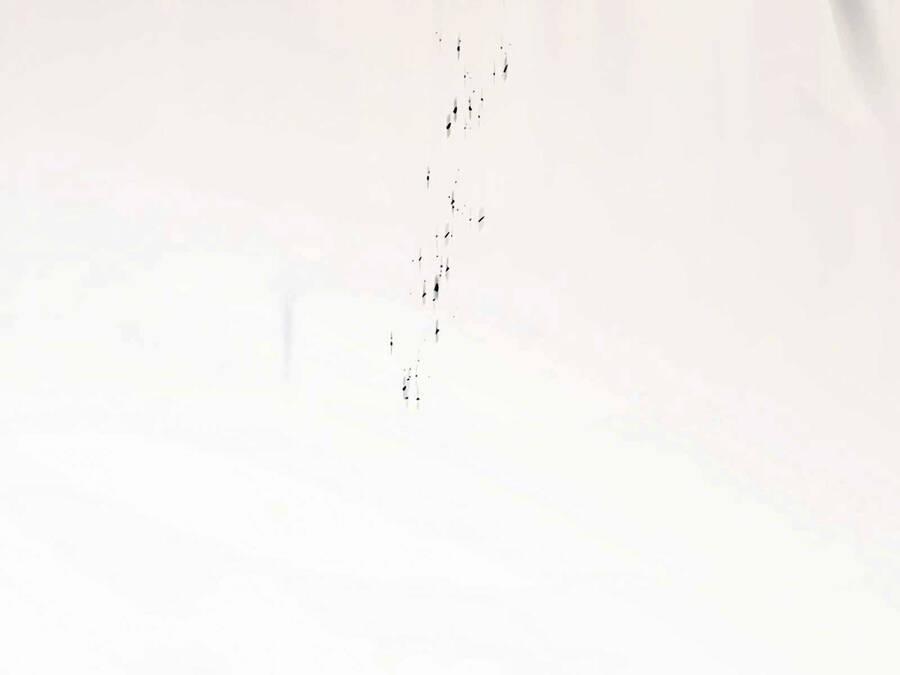 Tôi Thăng Cấp Bằng Kĩ Năng 11 trang 136