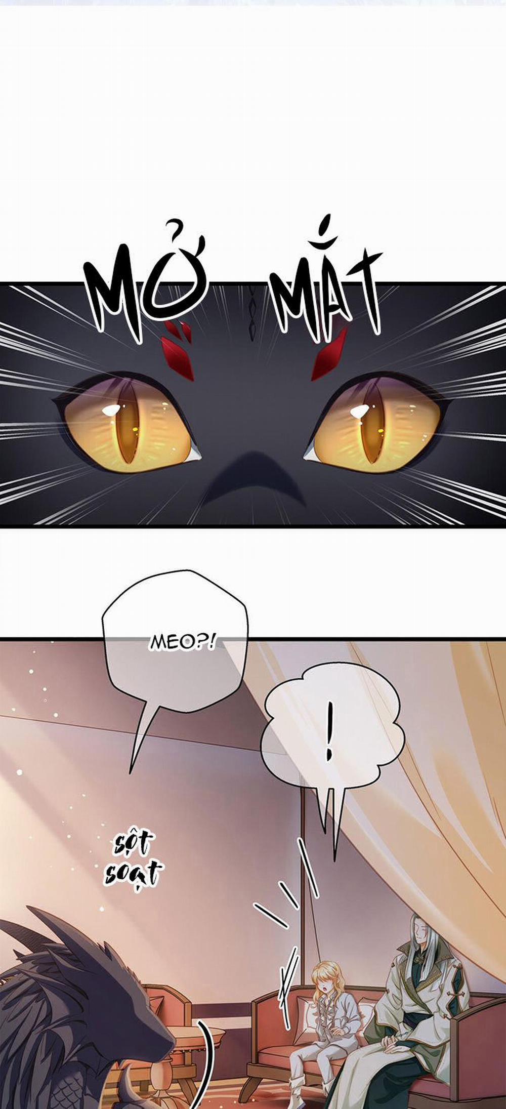 Tôi Trùng Sinh Trở Thành Tiểu Ác Long Của Vương Tử Điện Hạ 13 trang 12