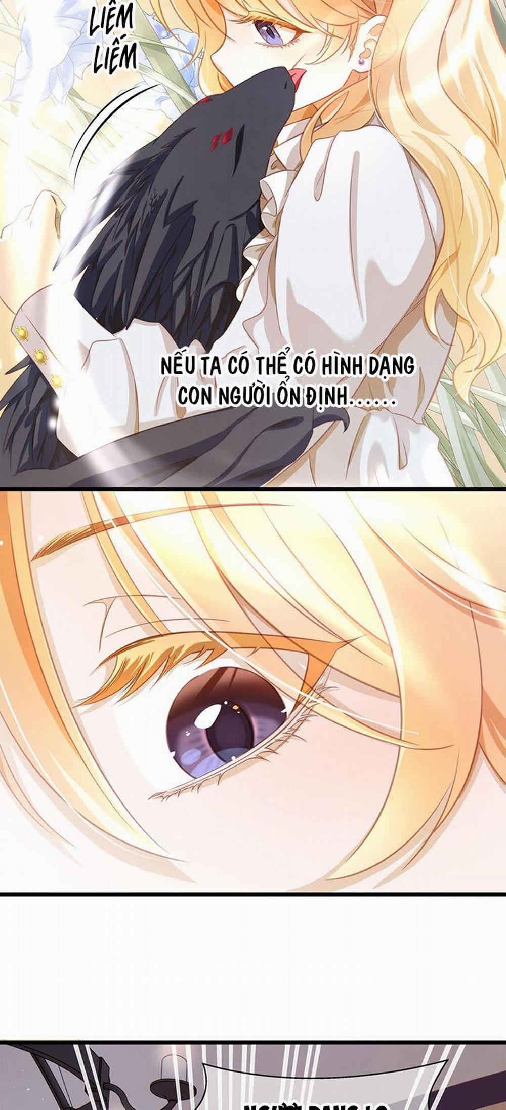 Tôi Trùng Sinh Trở Thành Tiểu Ác Long Của Vương Tử Điện Hạ 13 trang 17