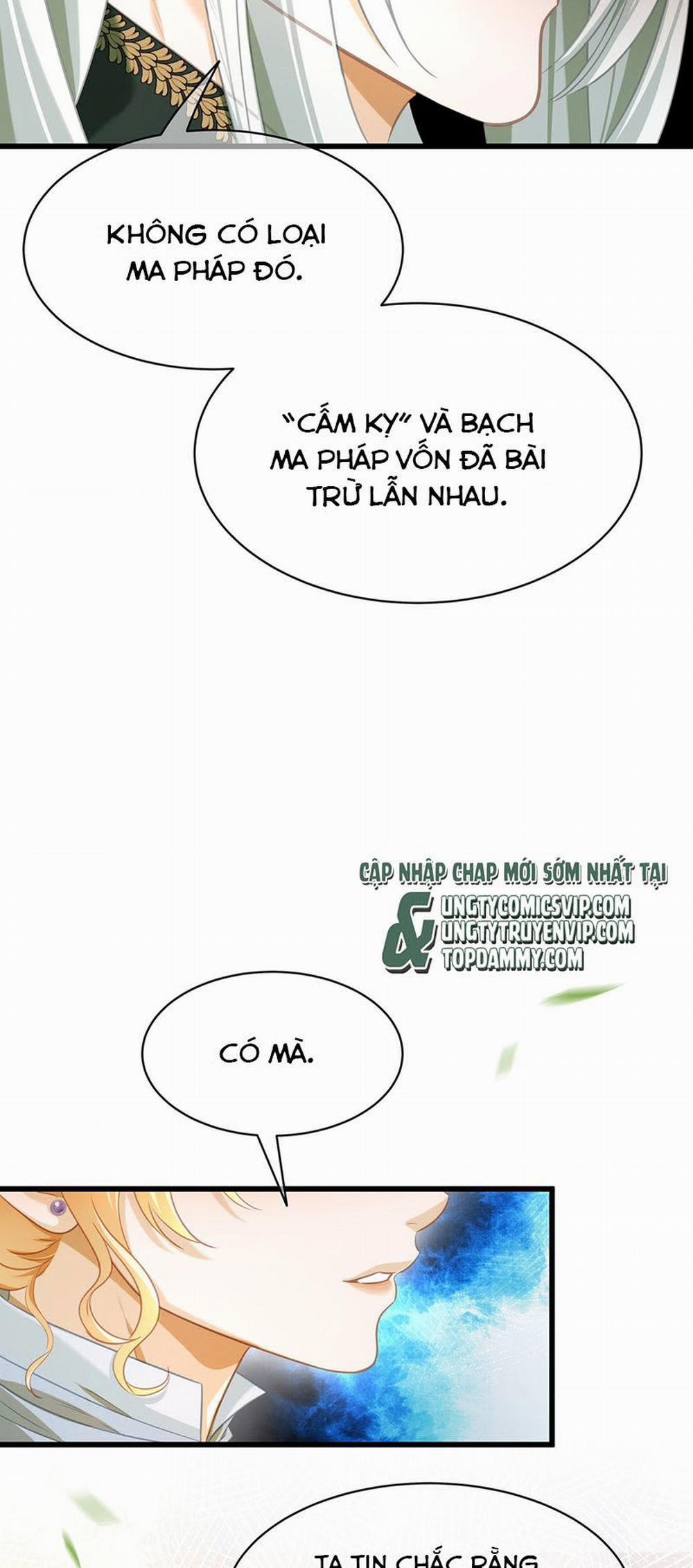 Tôi Trùng Sinh Trở Thành Tiểu Ác Long Của Vương Tử Điện Hạ 14 trang 13