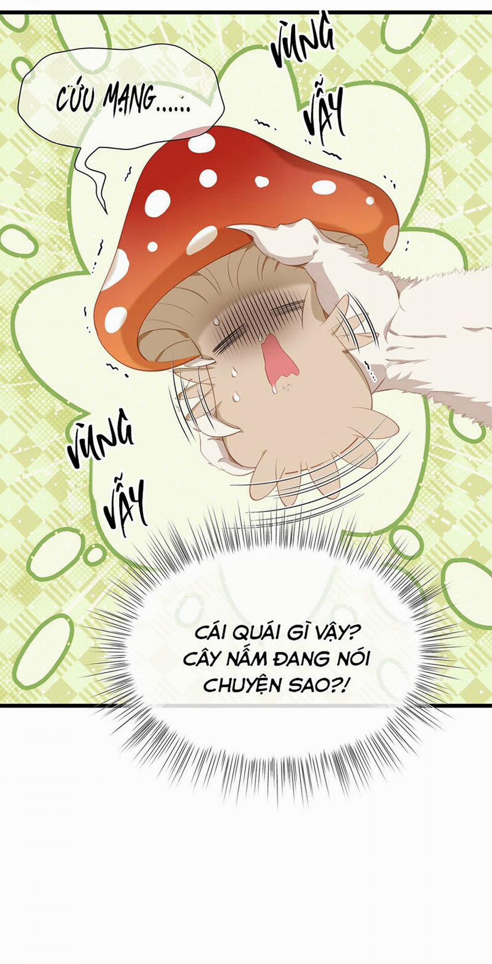 Tôi Trùng Sinh Trở Thành Tiểu Ác Long Của Vương Tử Điện Hạ 14 trang 24