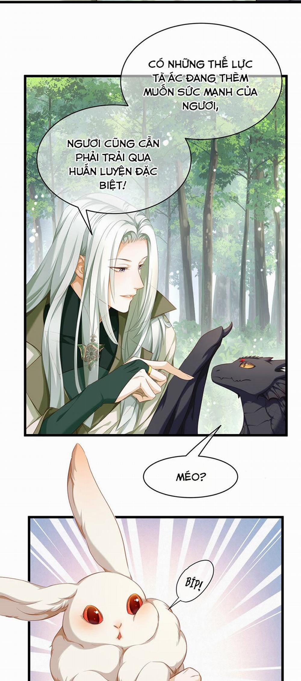 Tôi Trùng Sinh Trở Thành Tiểu Ác Long Của Vương Tử Điện Hạ 14 trang 4