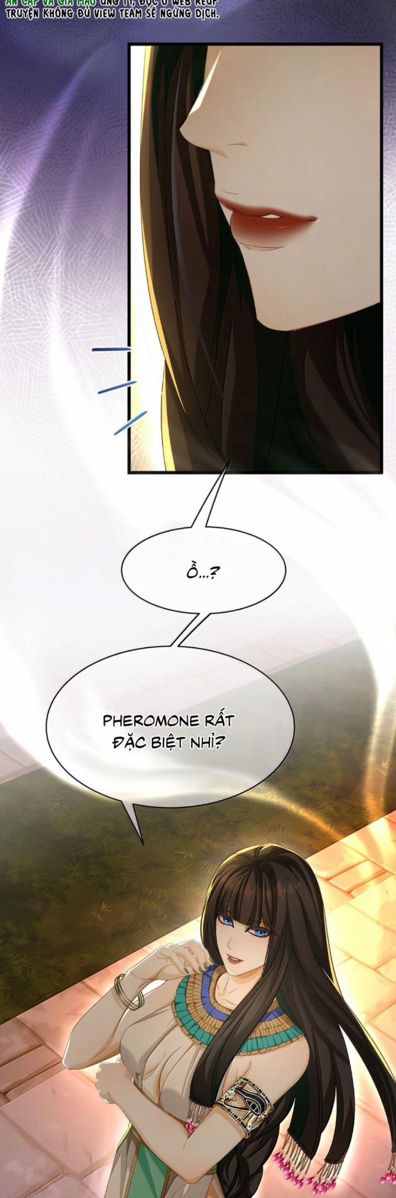 Tôi Trùng Sinh Trở Thành Tiểu Ác Long Của Vương Tử Điện Hạ 77 trang 11