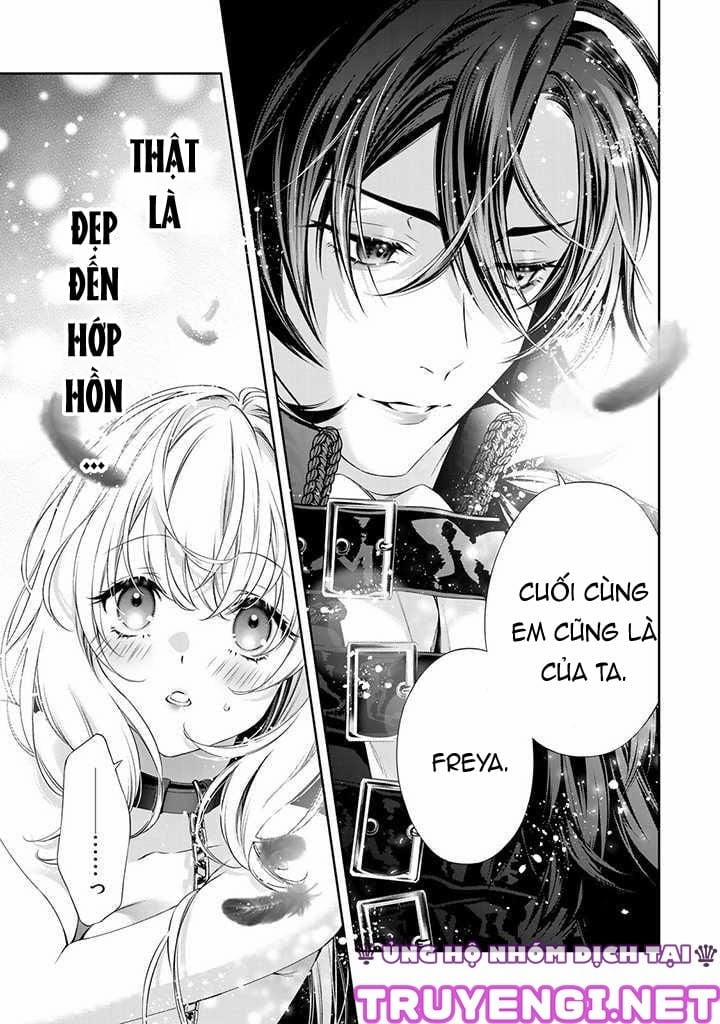 Tôi Xuyên Không Và Trở Thành Nô Lệ Thú Cưng 1.2 trang 3