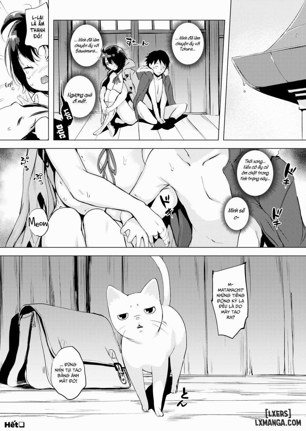 Tokura-san Loves Cat Oneshot trang 19