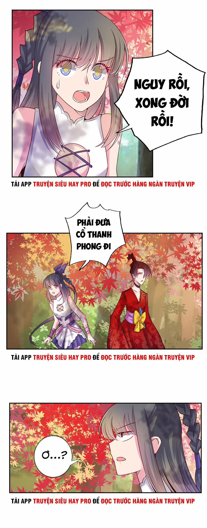 Tôn Thượng 19 trang 11