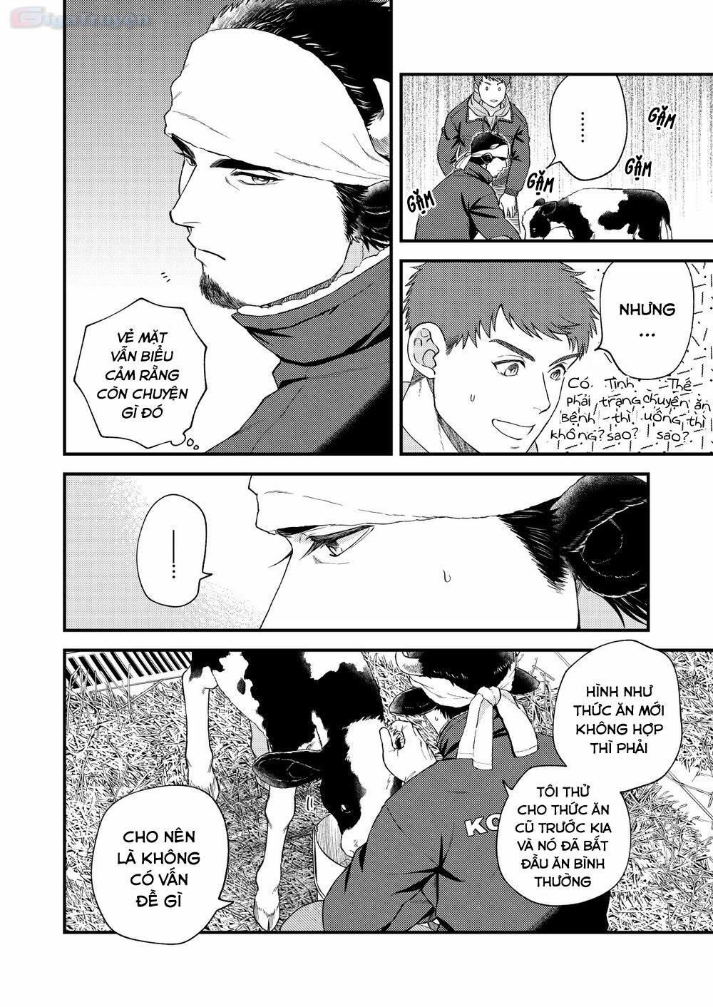 Tổng hợp boylove 18+ 307 trang 8