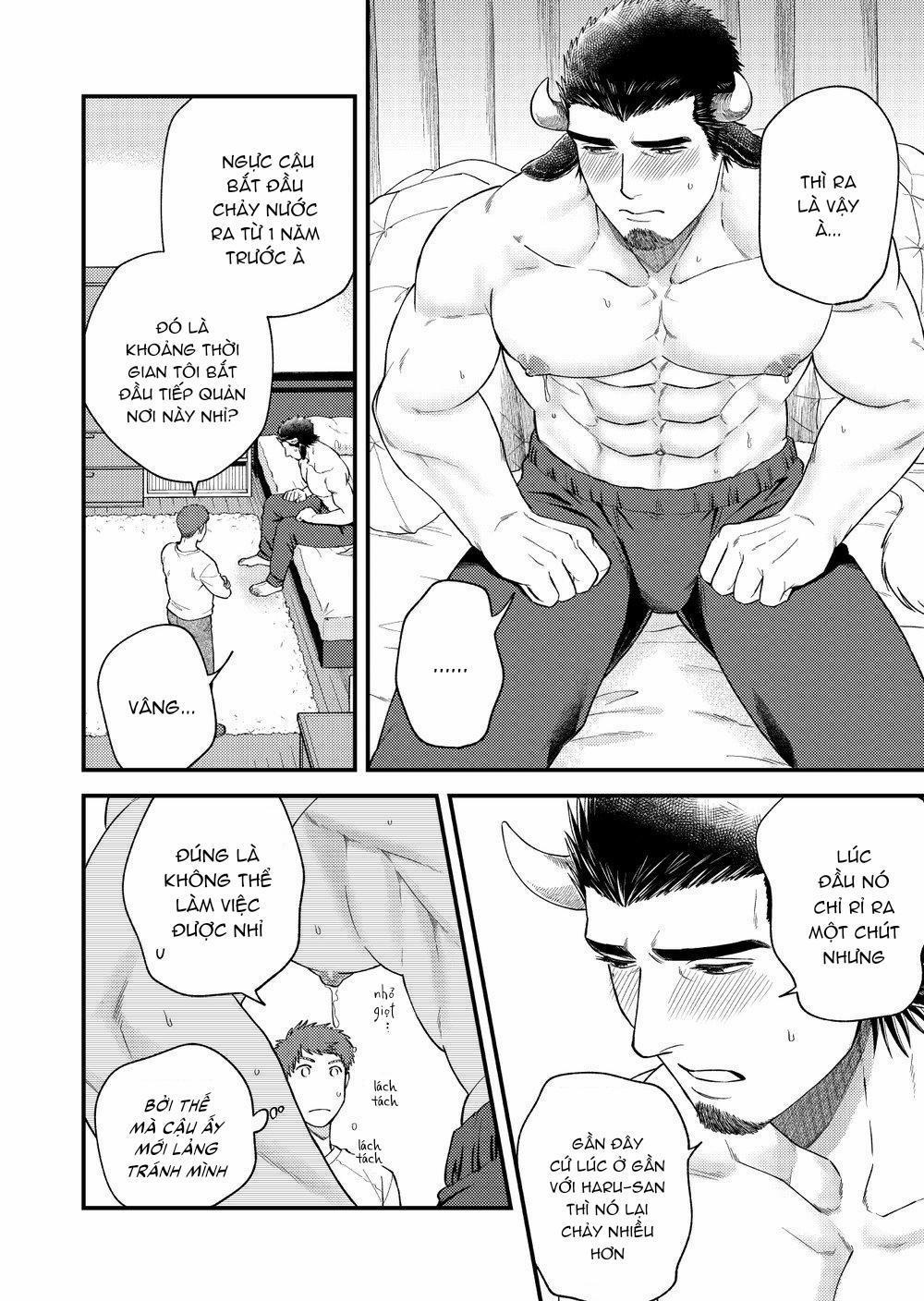 Tổng hợp boylove 18+ 308 trang 1