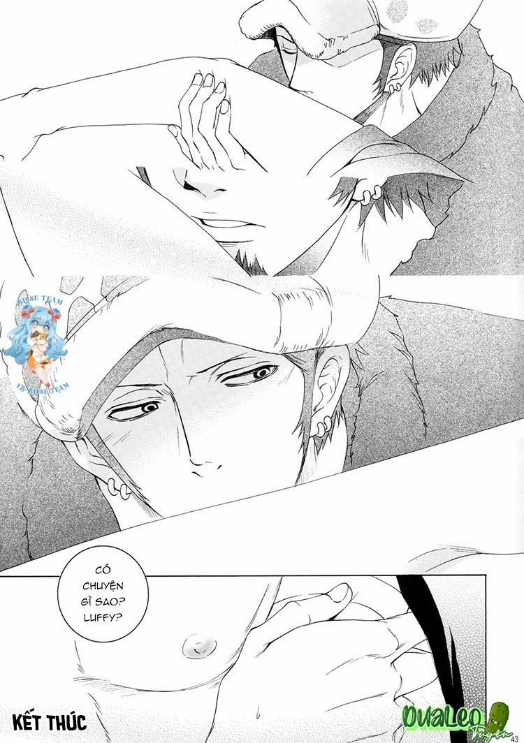 Tổng Hợp OnePiece Dj 10 trang 40