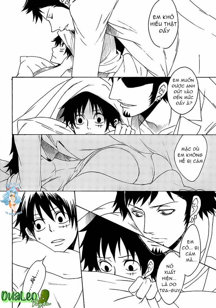 Tổng Hợp OnePiece Dj 13 trang 14