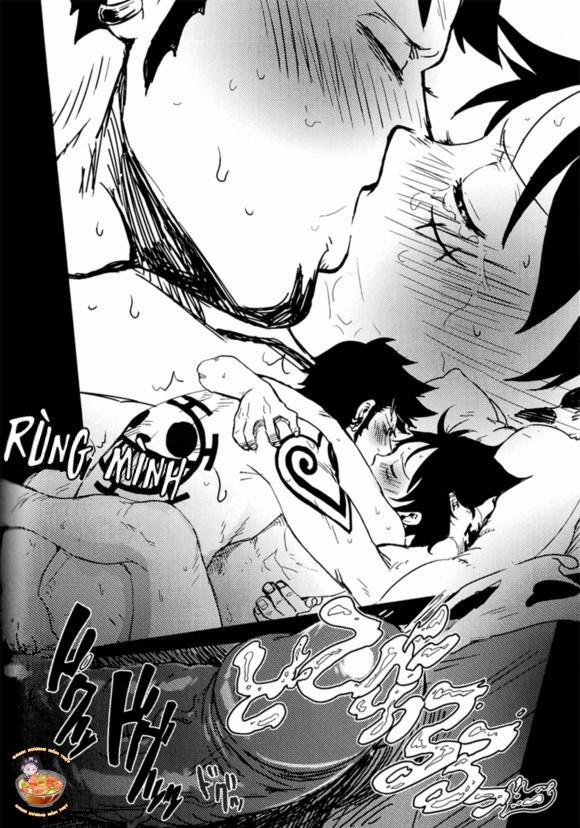 Tổng Hợp OnePiece Dj 27 trang 21