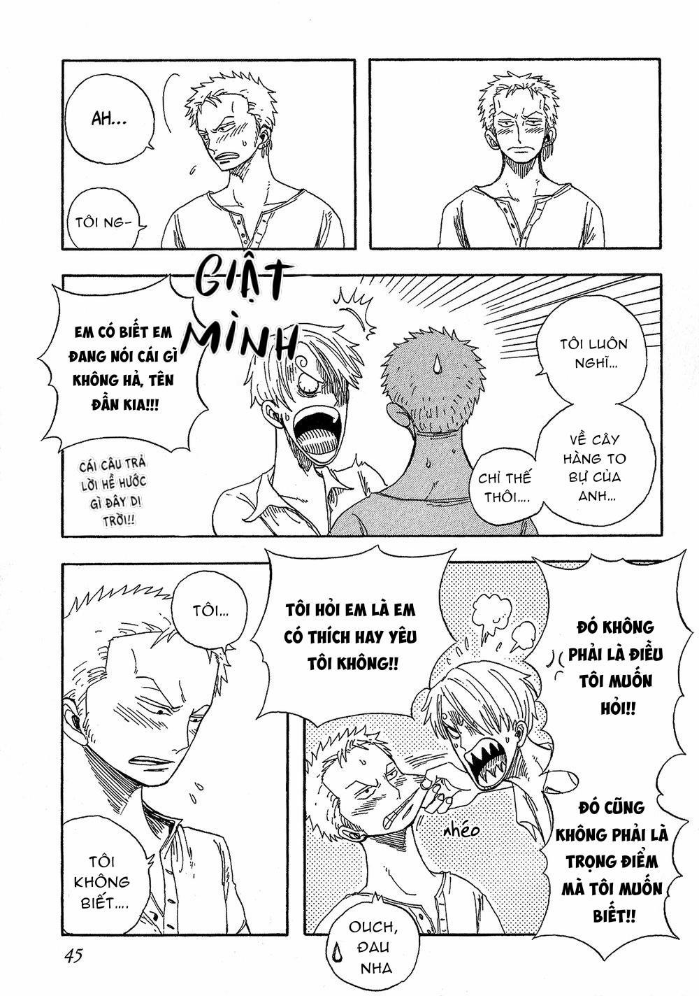 Tổng Hợp OnePiece Dj 33 trang 21