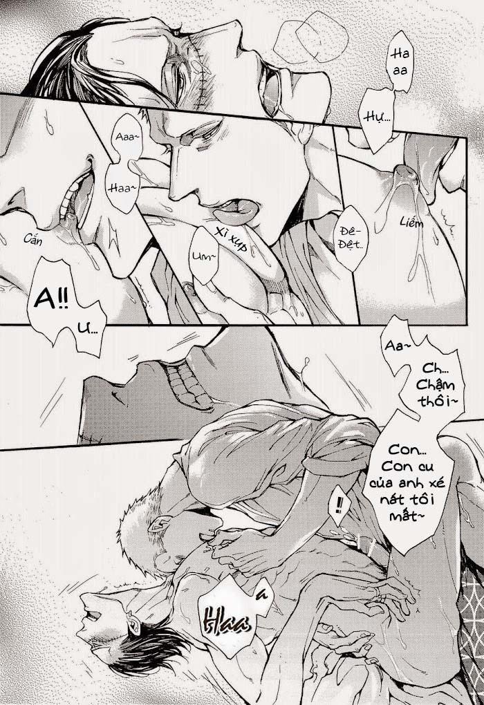 Tổng Hợp OnePiece Dj 6 trang 15