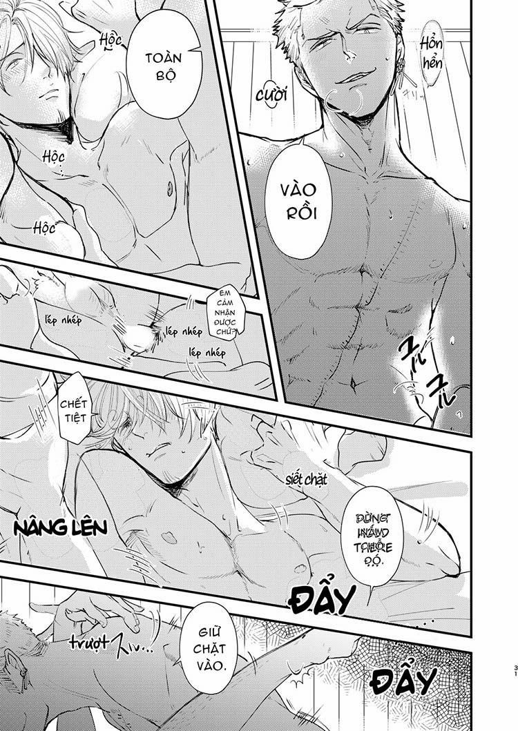 Tổng Hợp OnePiece Dj 8 trang 30