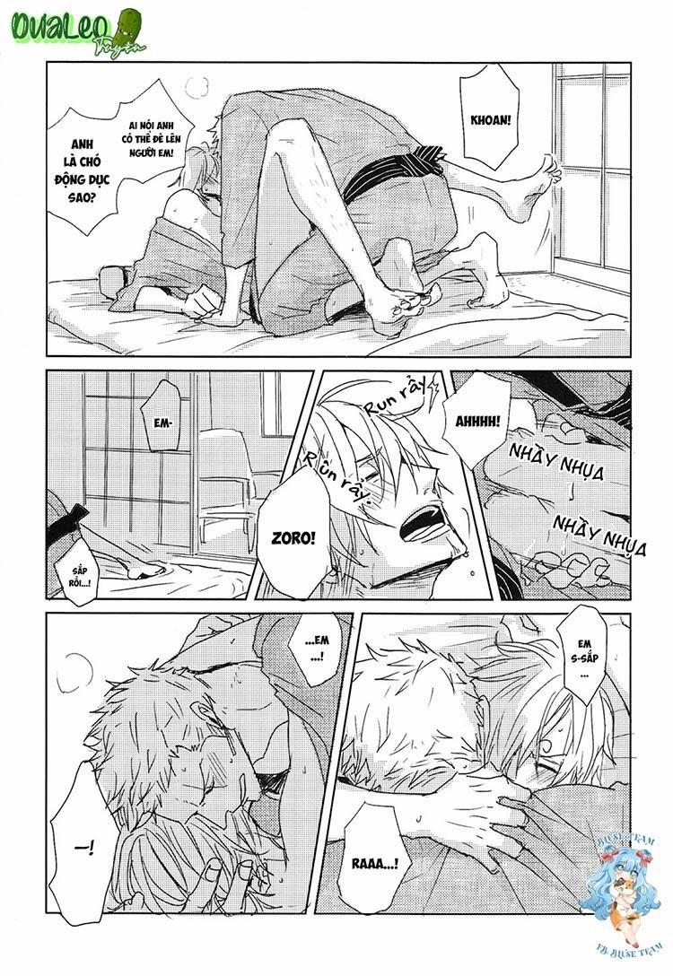 Tổng Hợp OnePiece Dj 9 trang 12