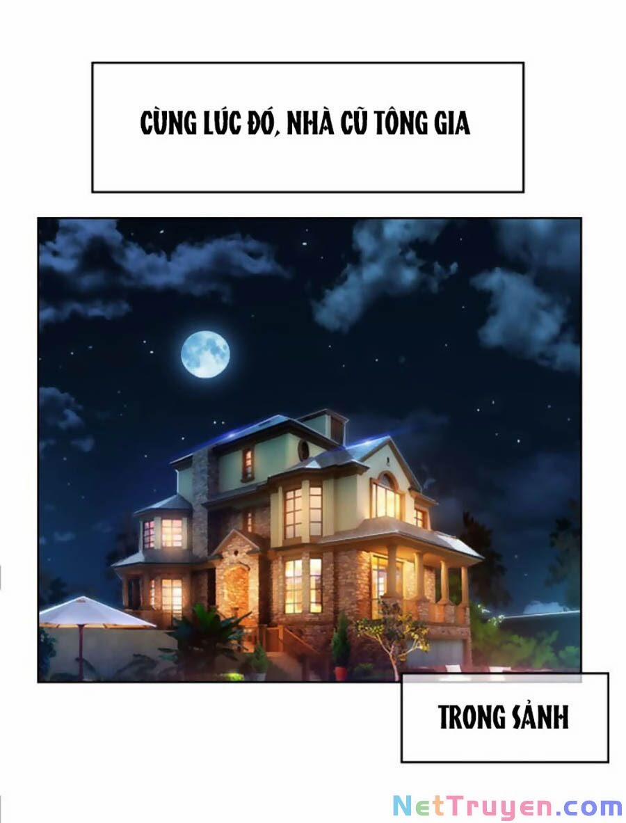 Tồng Tài Cứ Muốn Lấy Cô Vợ Gả Thay Chương 41 Trang 1