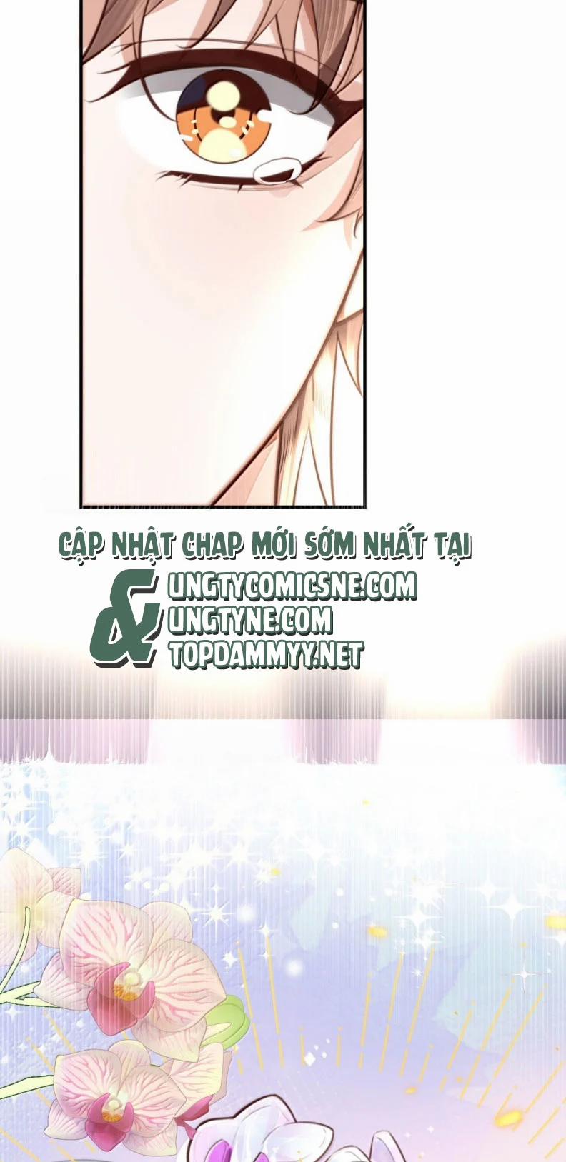 Tổng Tài Định Chế Tư Nhân 123 trang 30