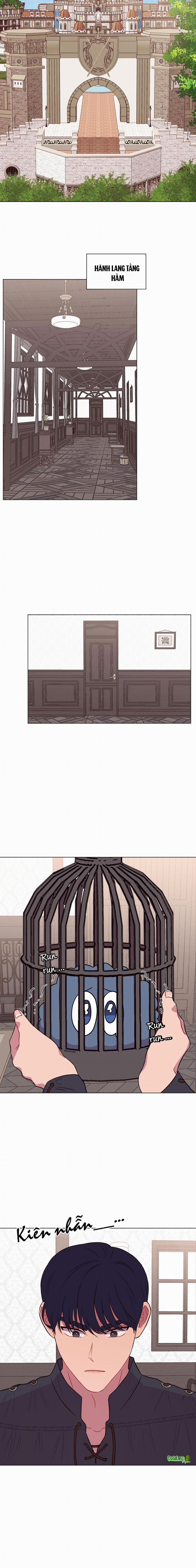 TRẢ LẠI SEX TOY CHO TÔI!!! 14 trang 13