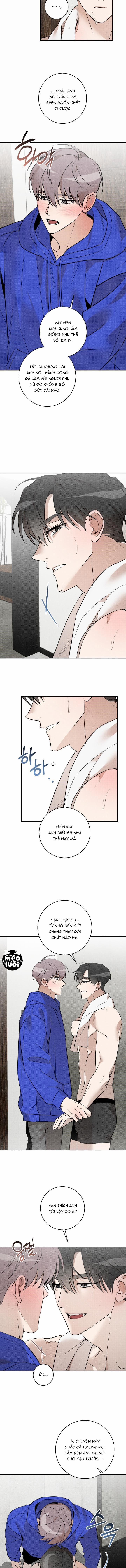 Trả Thù Tình Đầu 15 trang 7