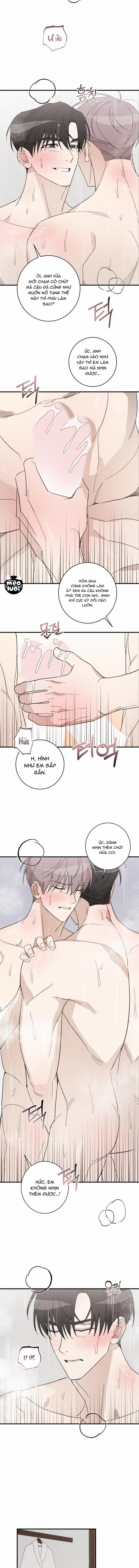 Trả Thù Tình Đầu 19 trang 2