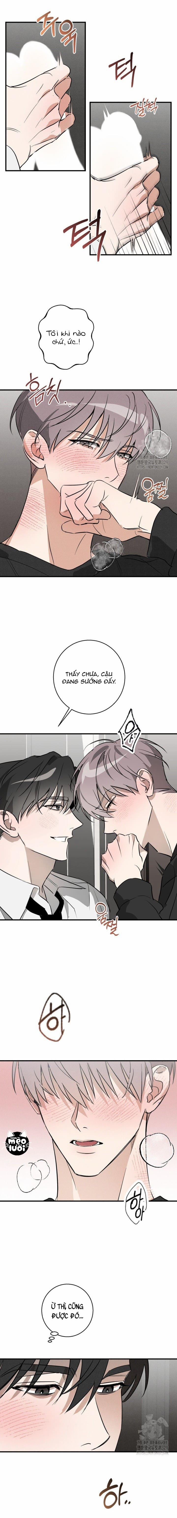 Trả Thù Tình Đầu 4 trang 2