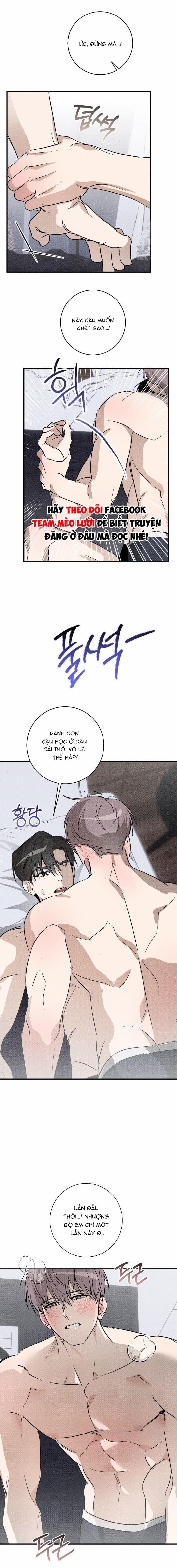 Trả Thù Tình Đầu 8 trang 12