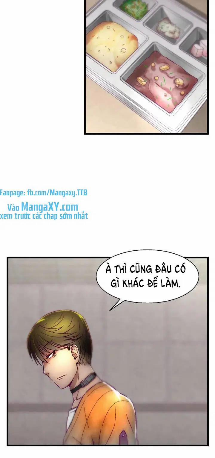 Trại chăn nuôi loài người 10 trang 45