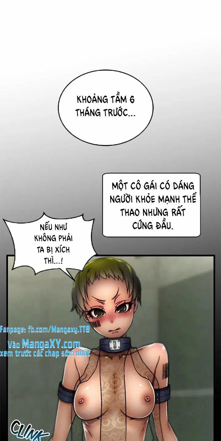 Trại chăn nuôi loài người 8 trang 12