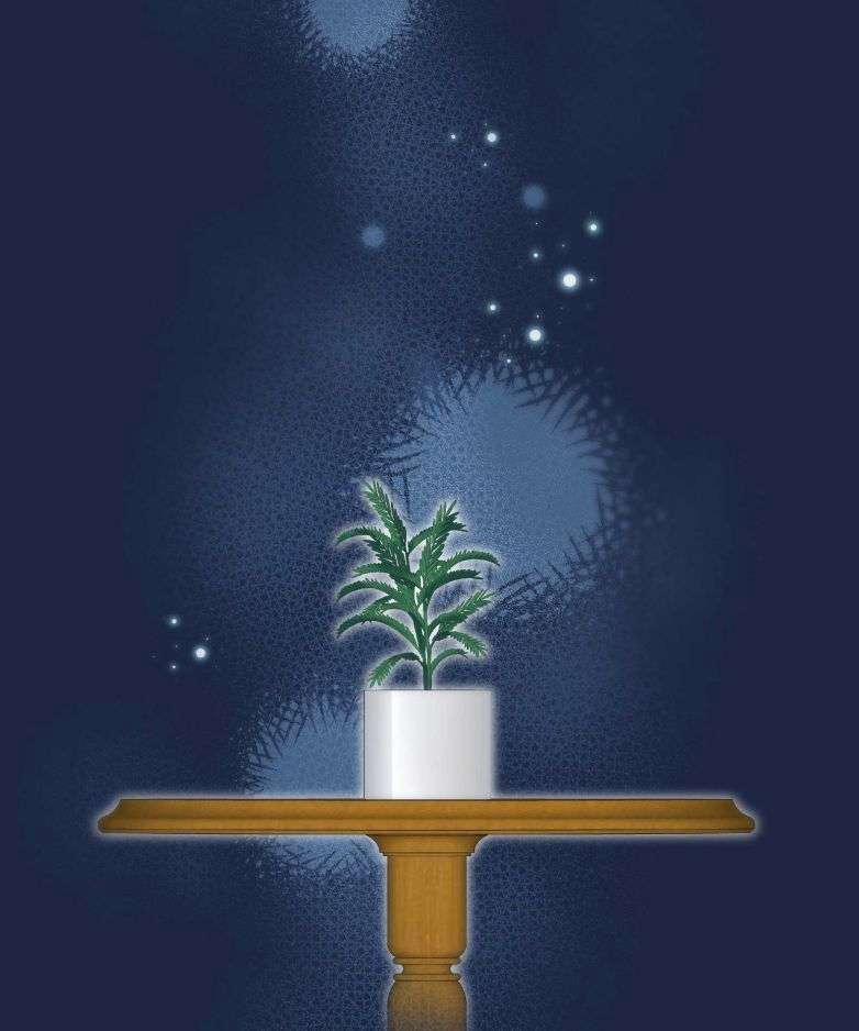 Trần Thương (Vết Sẹo Cũ) 59 trang 39