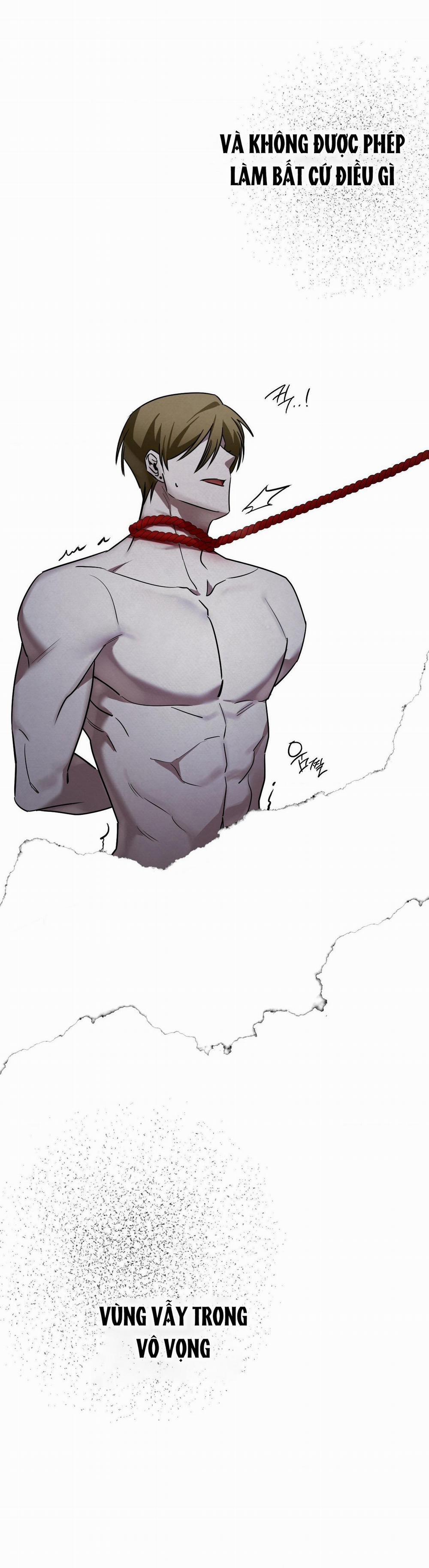 TRANH VẼ 7 trang 3