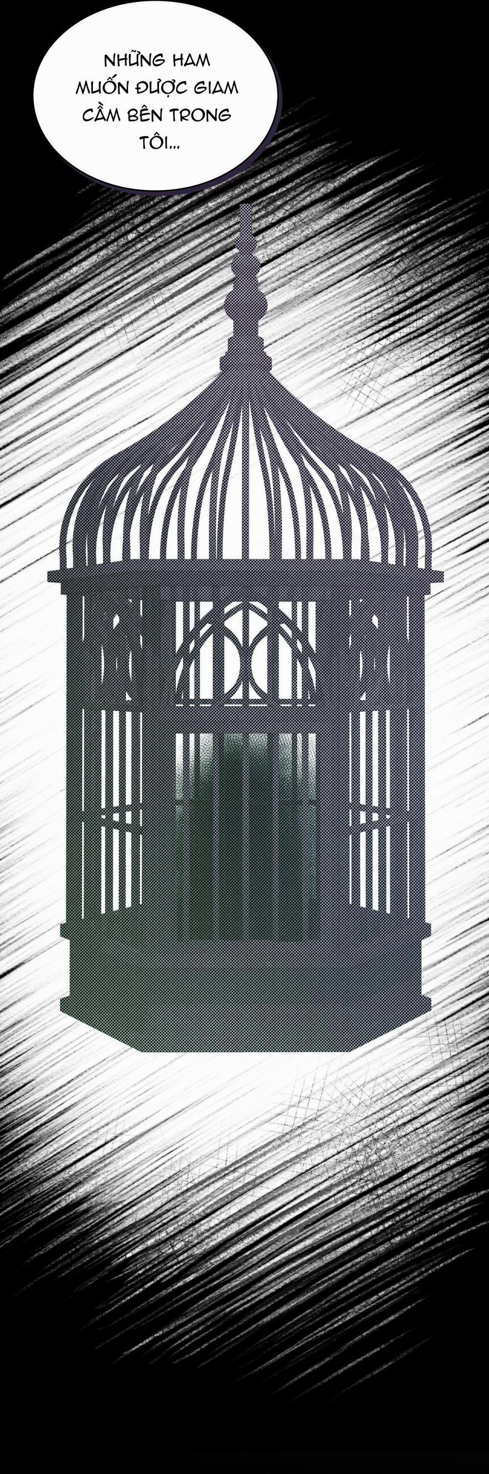 TRANH VẼ 7 trang 45