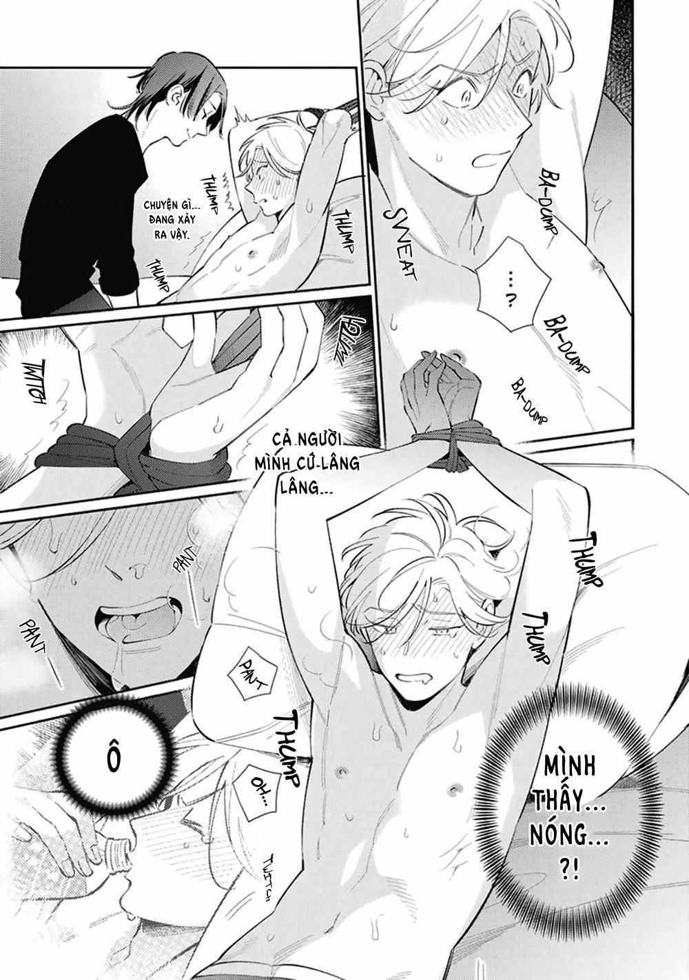 Trên 20 tuổi thì thuộc về tớ 1 trang 20