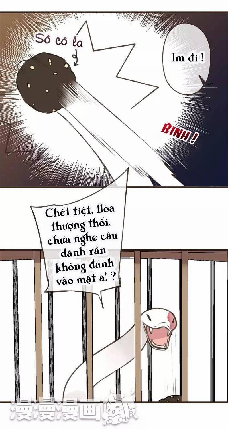 Trên Trời Rớt Xuống Một Hòa Thượng Ngốc 40 trang 2