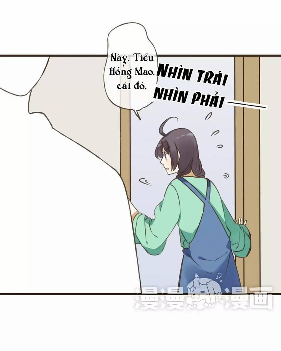 Trên Trời Rớt Xuống Một Hòa Thượng Ngốc 51 trang 28