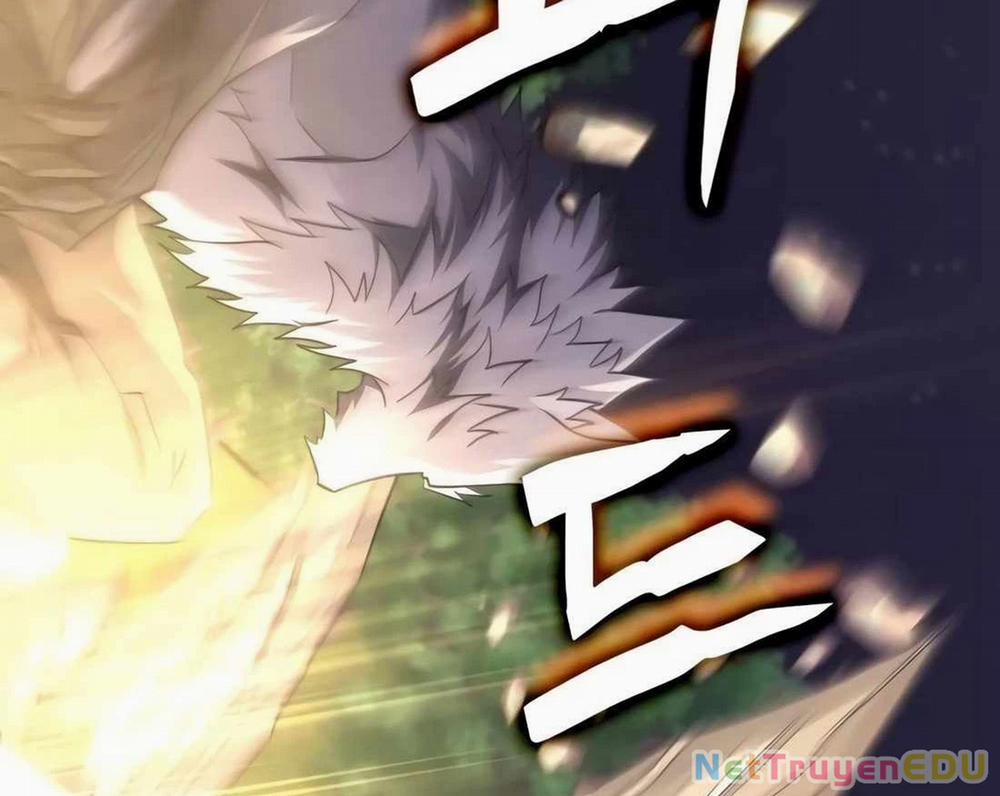 Trị Liệu Sư Quá Mạnh 10 trang 177