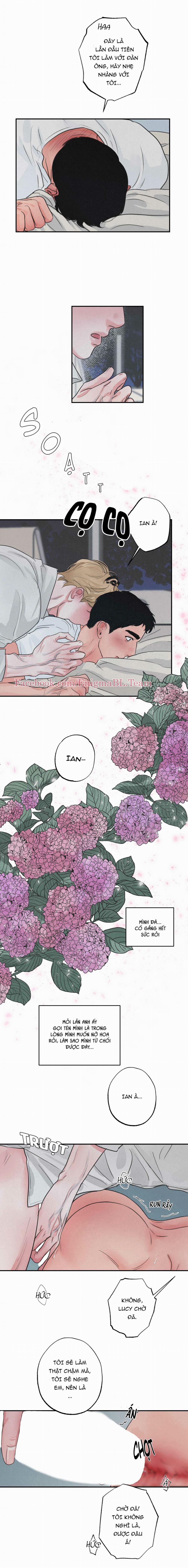 Trò Chơi Safari 3 trang 12