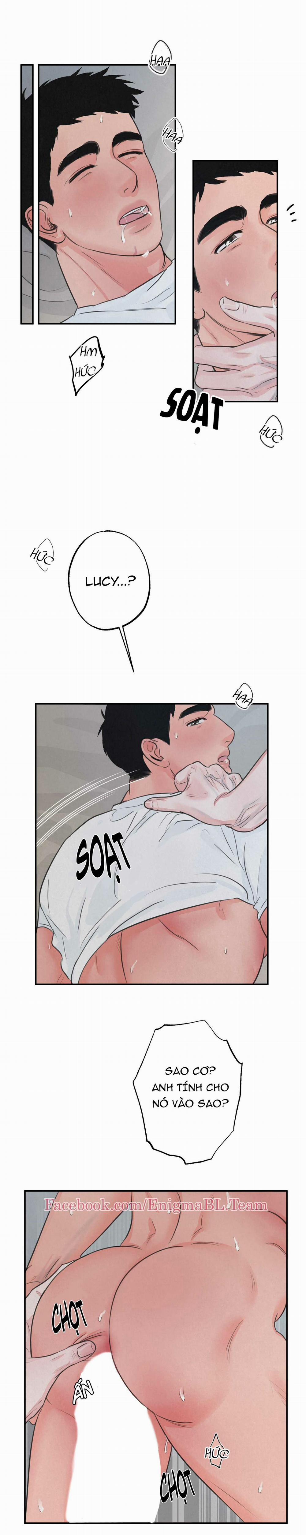 Trò Chơi Safari 3 trang 9