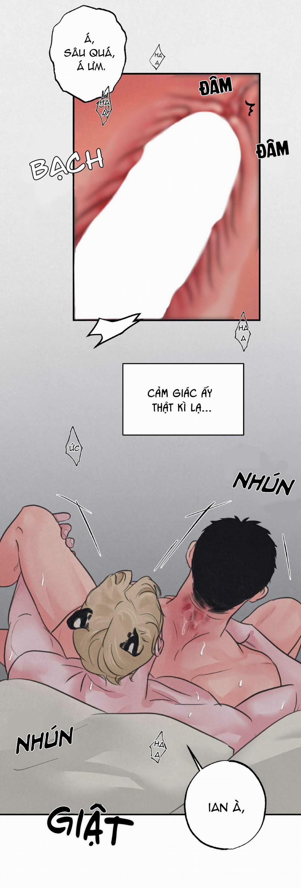 Trò Chơi Safari 4 trang 26