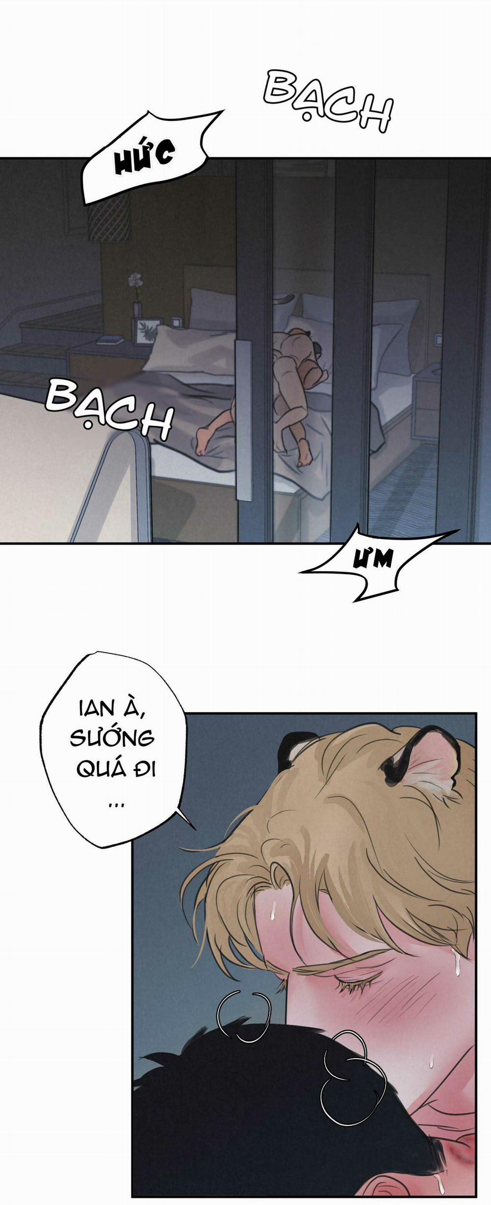 Trò Chơi Safari 4 trang 30